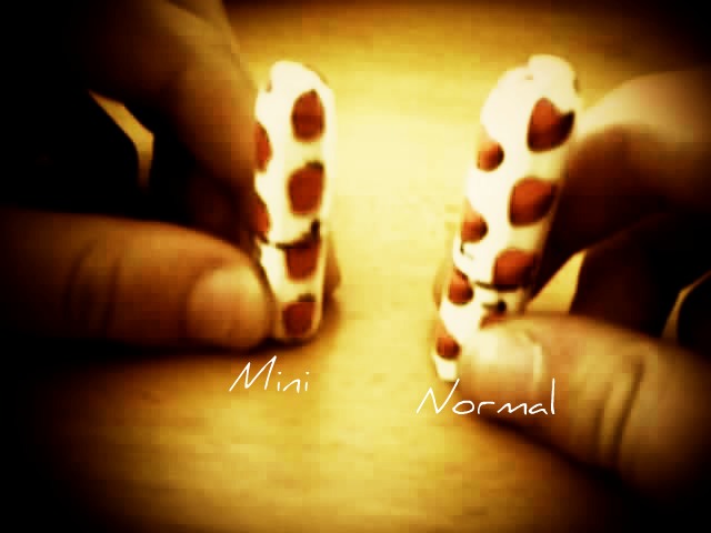 mini & normal
